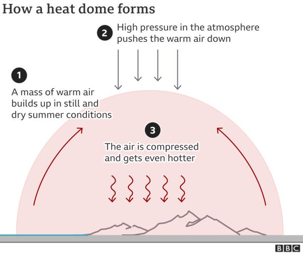 A graphic showing how heat domes are formed. 1) A mass of warm air builds up in still and dry summer co<em></em>nditions 2) High pressure in the atmosphere pressures the warm air down 3) The air is compressed and gets even hotter