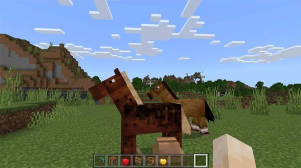 find-two-horses-to-breed-a-horse-in-minecraft